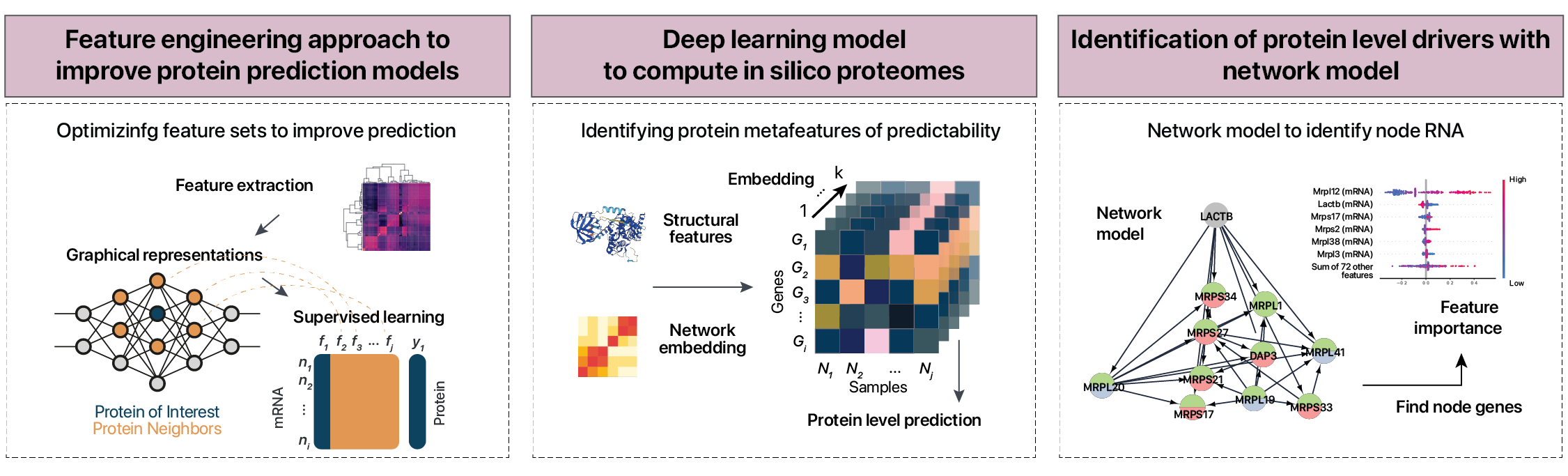 RNA protein correlations